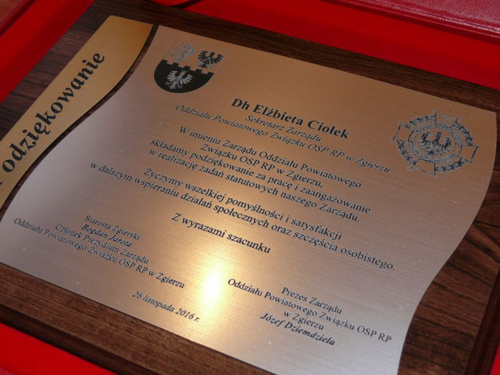 Zmiana we władzach OSP powiatu zgierskiego