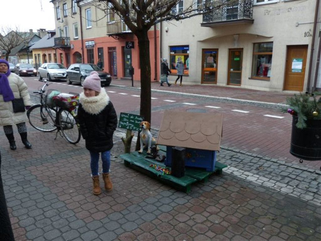 W Łowiczu ruszyła akcja 