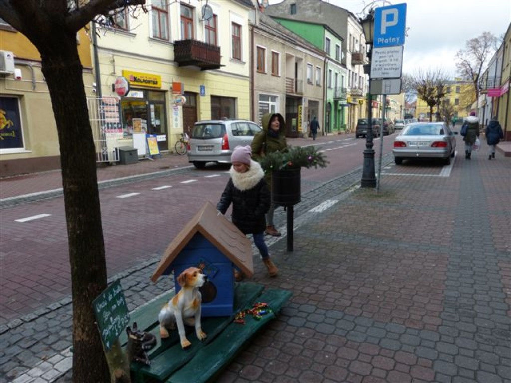 W Łowiczu ruszyła akcja 