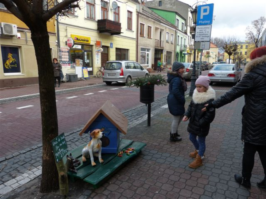 W Łowiczu ruszyła akcja 