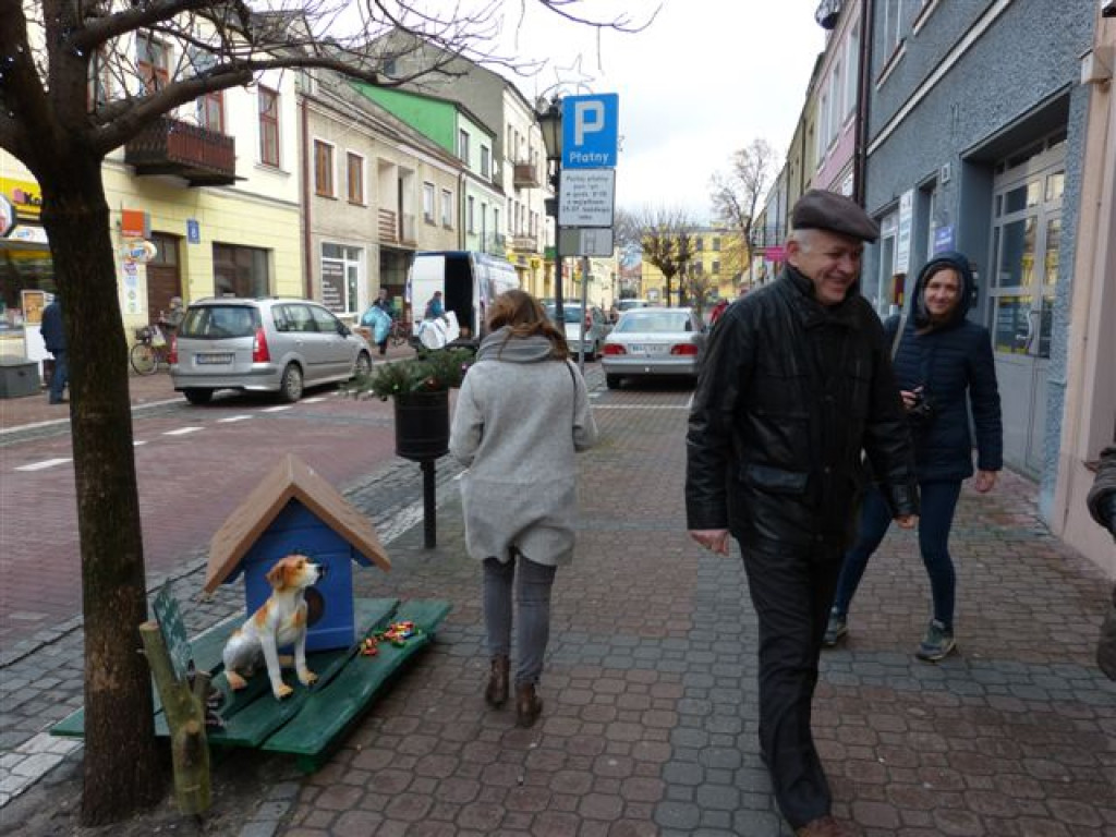 W Łowiczu ruszyła akcja 