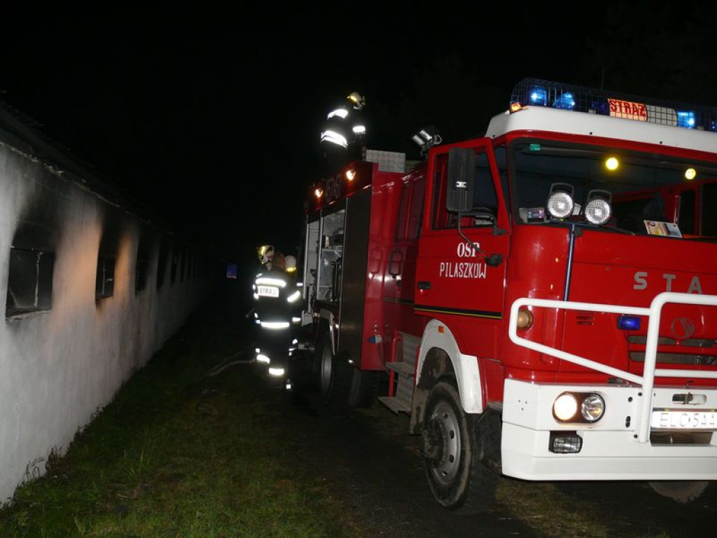Spłonął duży kurnik w Niedźwiadzie