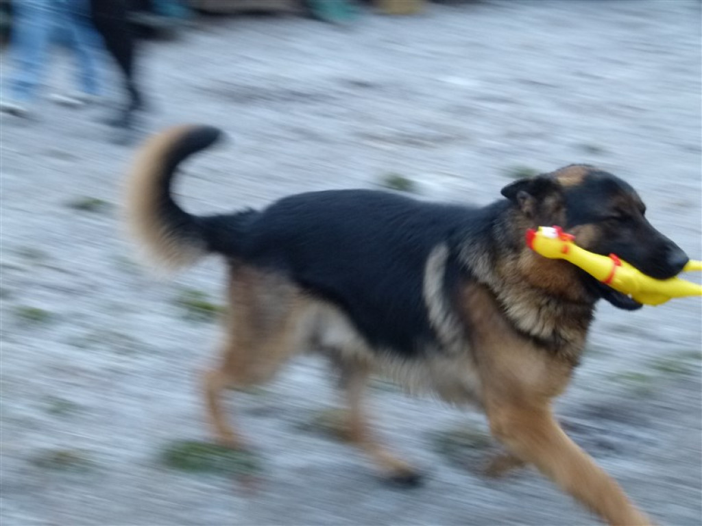 Finał akcji  