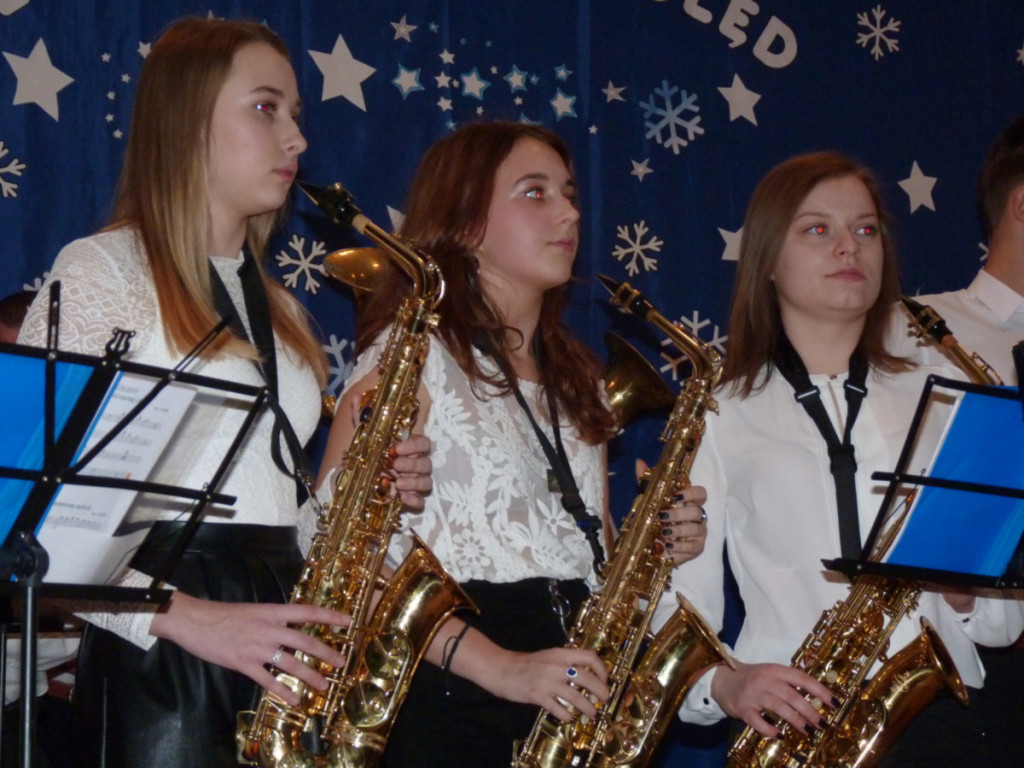 Hej kolęda, kolęda! Koncert w Niesułkowie [zdjęcia]