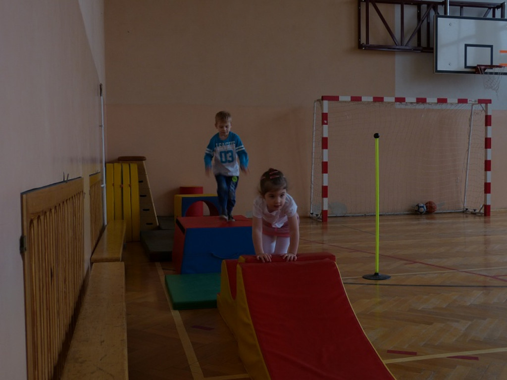 Dzień otwarty w SP w Niedźwiadzie