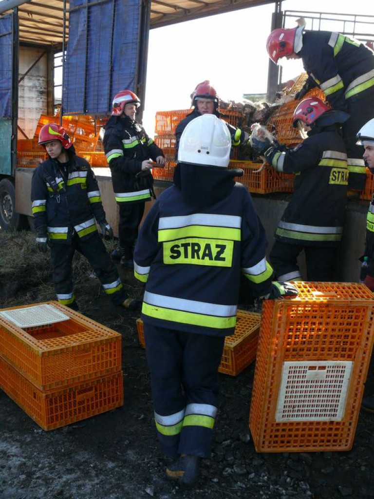 Ciężarówka ścięła słup energetyczny