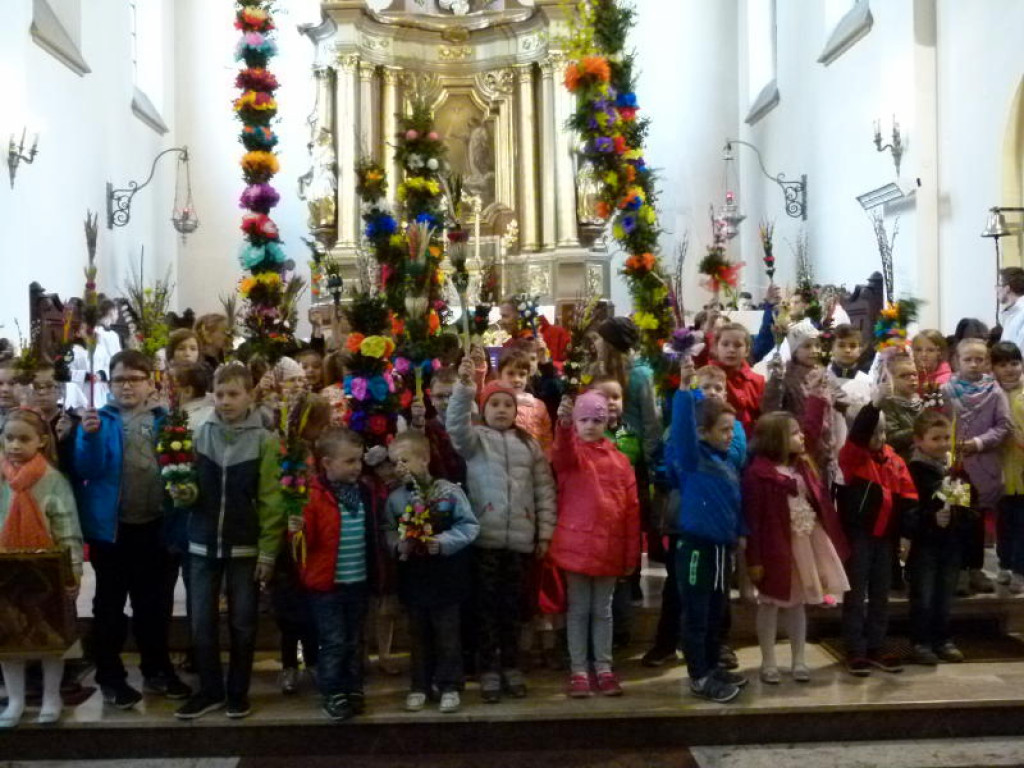 Piękne palmy w Domaniewicach