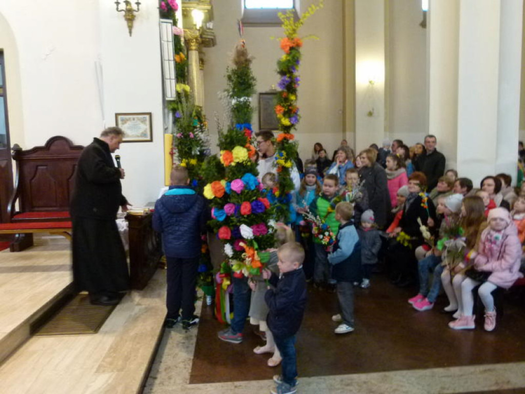 Piękne palmy w Domaniewicach