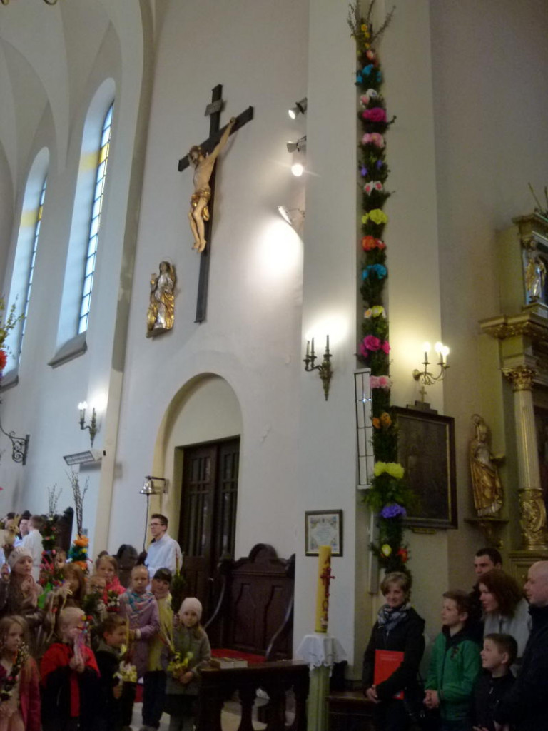Piękne palmy w Domaniewicach