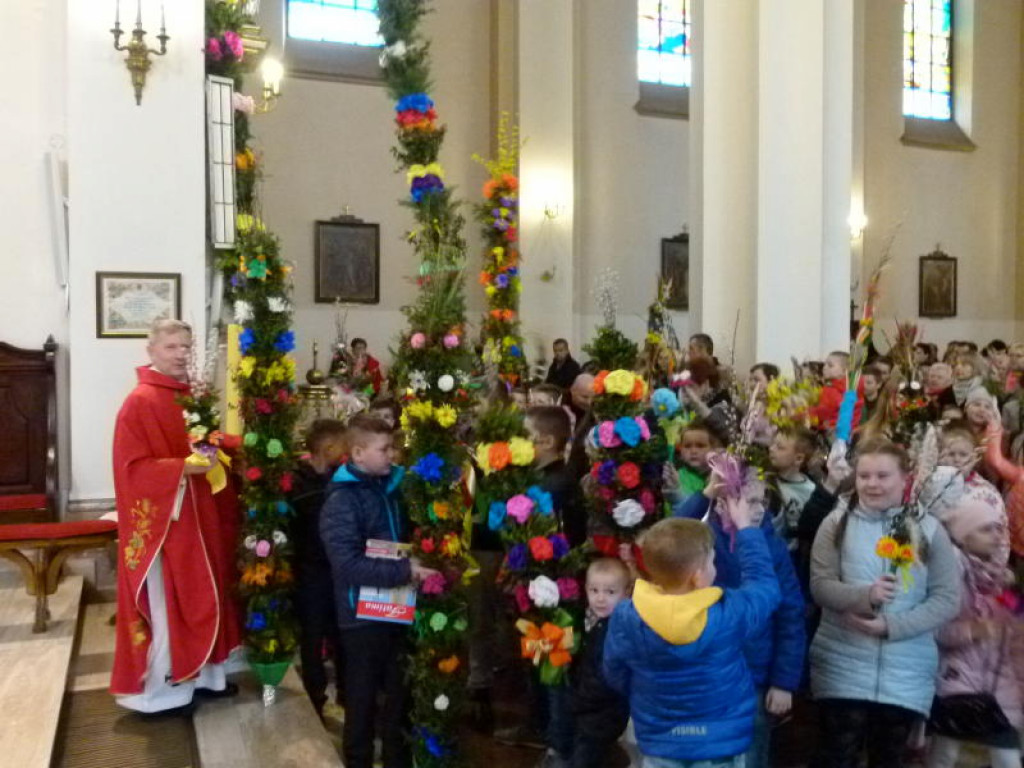 Piękne palmy w Domaniewicach