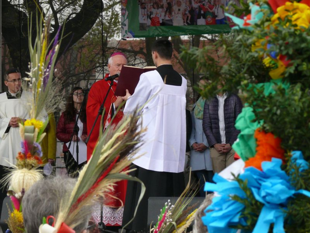 Młodzi z diecezji przyjechali do Łowicza. GALERIA ZDJĘĆ