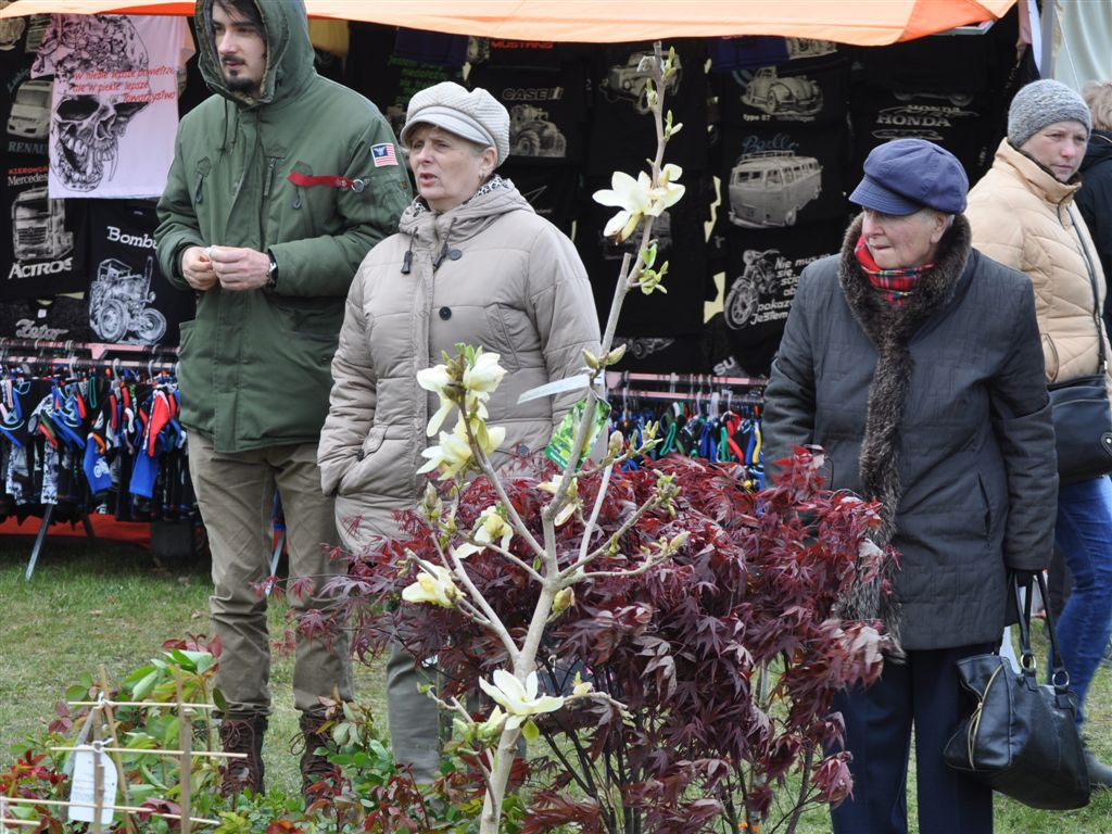 Targi Agrotechnika 2017 w Bratoszewicach w sobotę i niedzielę