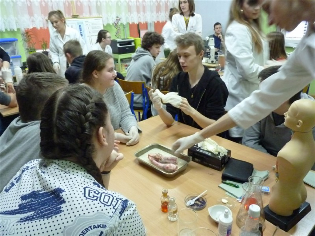 Festiwal Nauki w ZSLG w Głownie