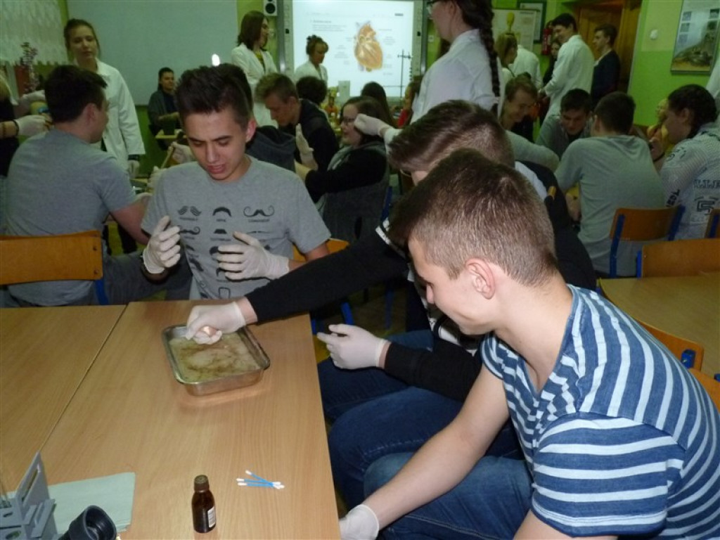 Festiwal Nauki w ZSLG w Głownie