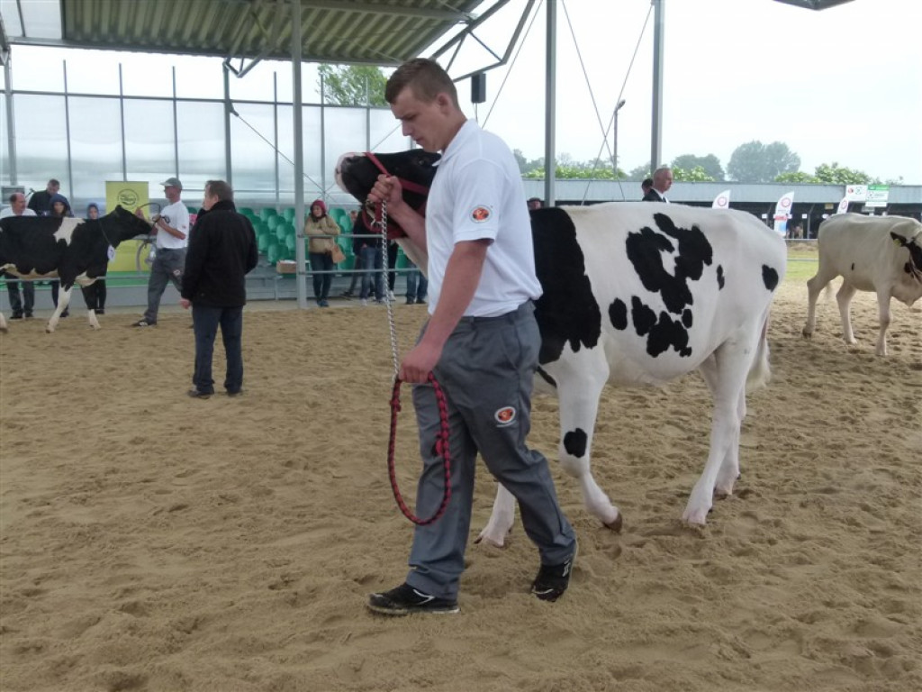W Bratoszewicach trwa wystawa zwierząt i targi rolne