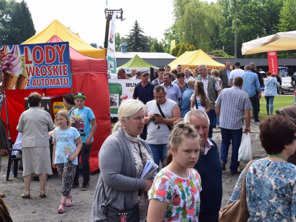 W Bratoszewicach trwa wystawa zwierząt i targi rolne