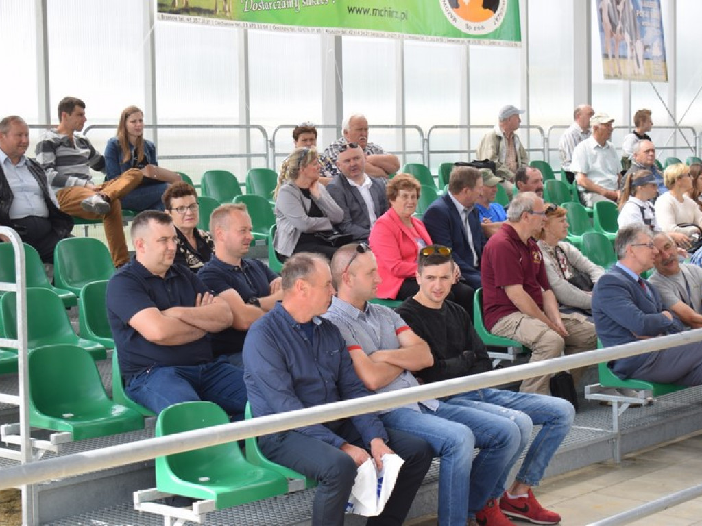 W Bratoszewicach trwa wystawa zwierząt i targi rolne