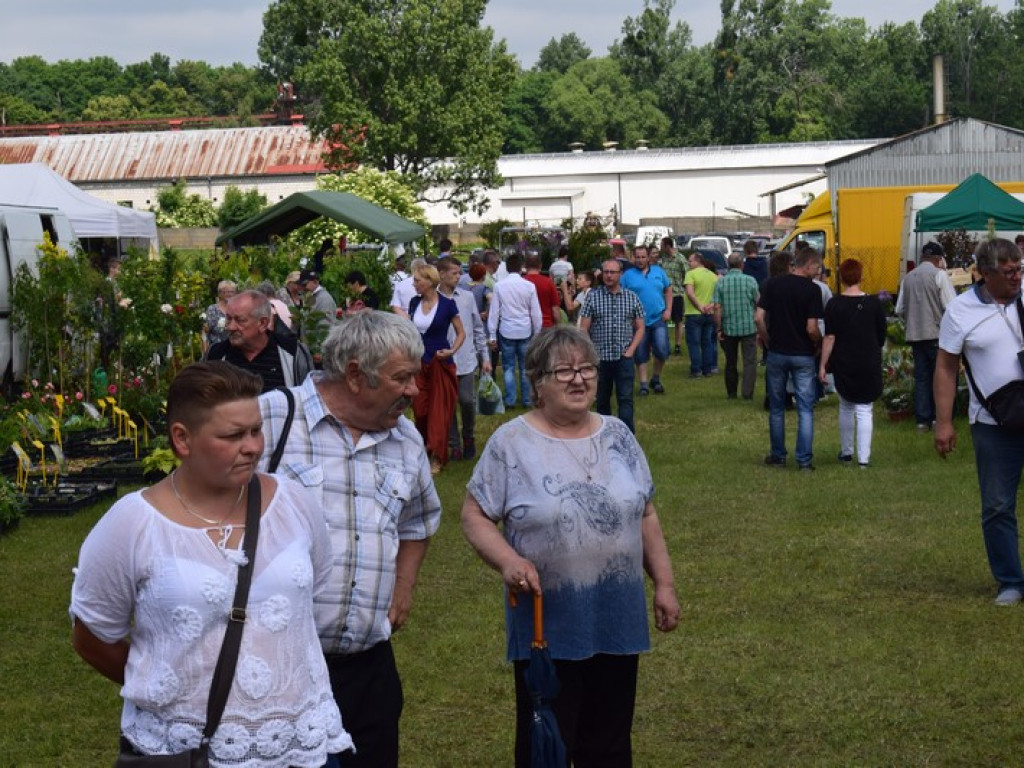 W Bratoszewicach trwa wystawa zwierząt i targi rolne