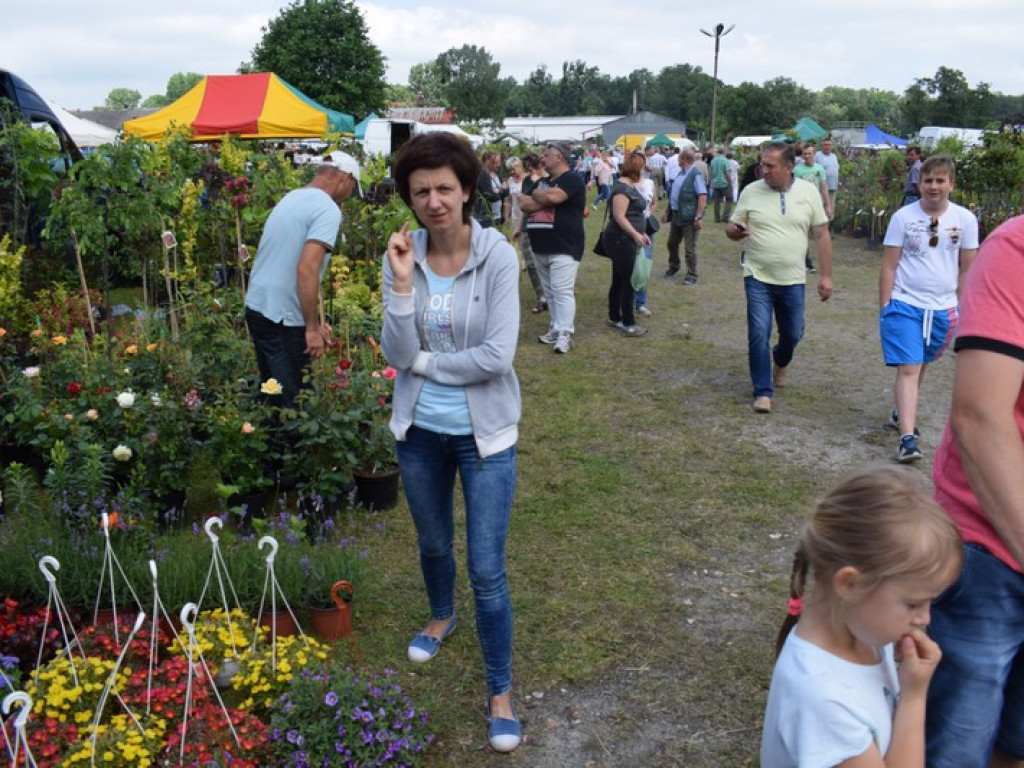 W Bratoszewicach trwa wystawa zwierząt i targi rolne