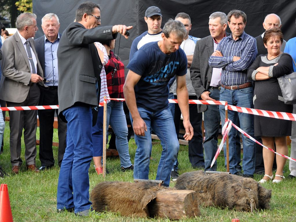 Tłumy na Dniu Dzika w Kiernozi