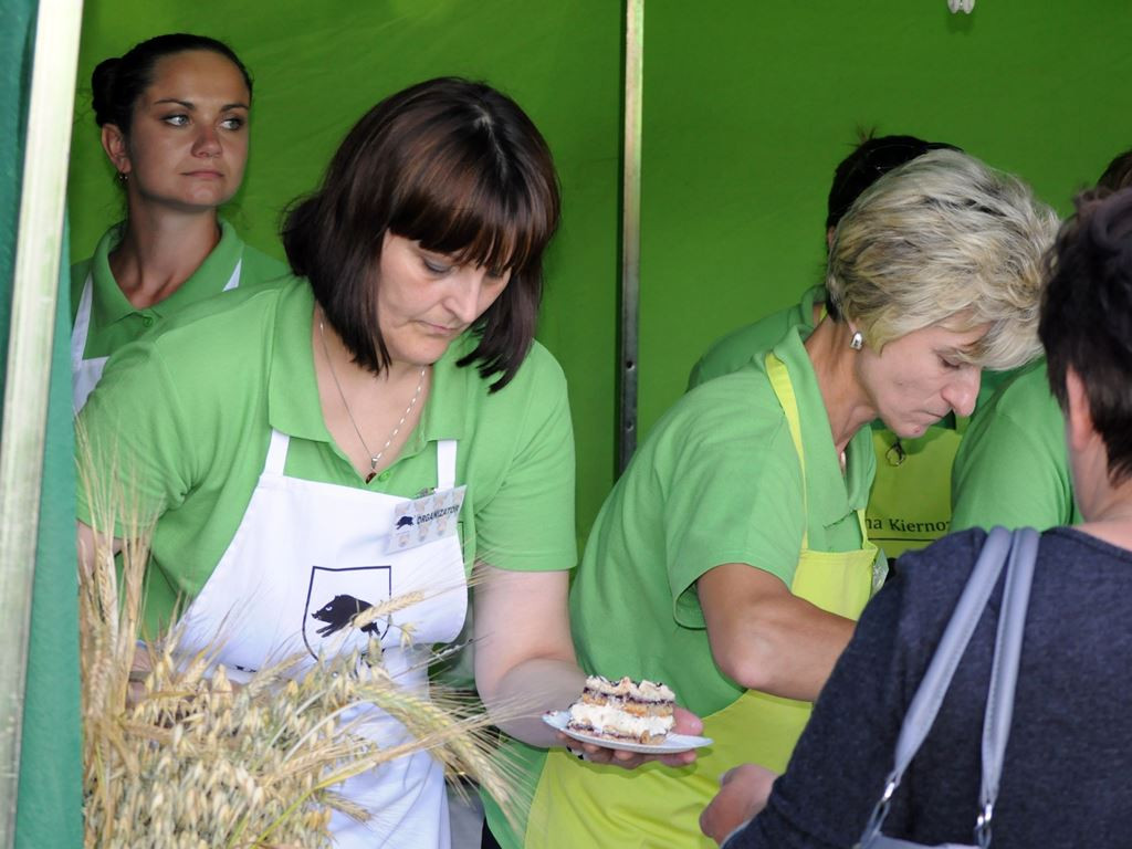 Tłumy na Dniu Dzika w Kiernozi