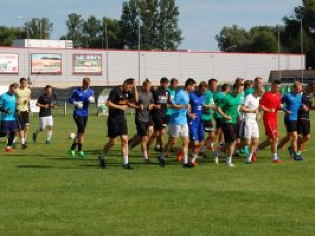 Zwycięski sparing Pelikana