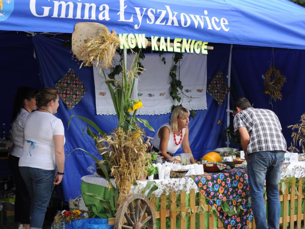 Łowickie Żniwa 2017 w skansenie w Maurzycach - zdjęcia