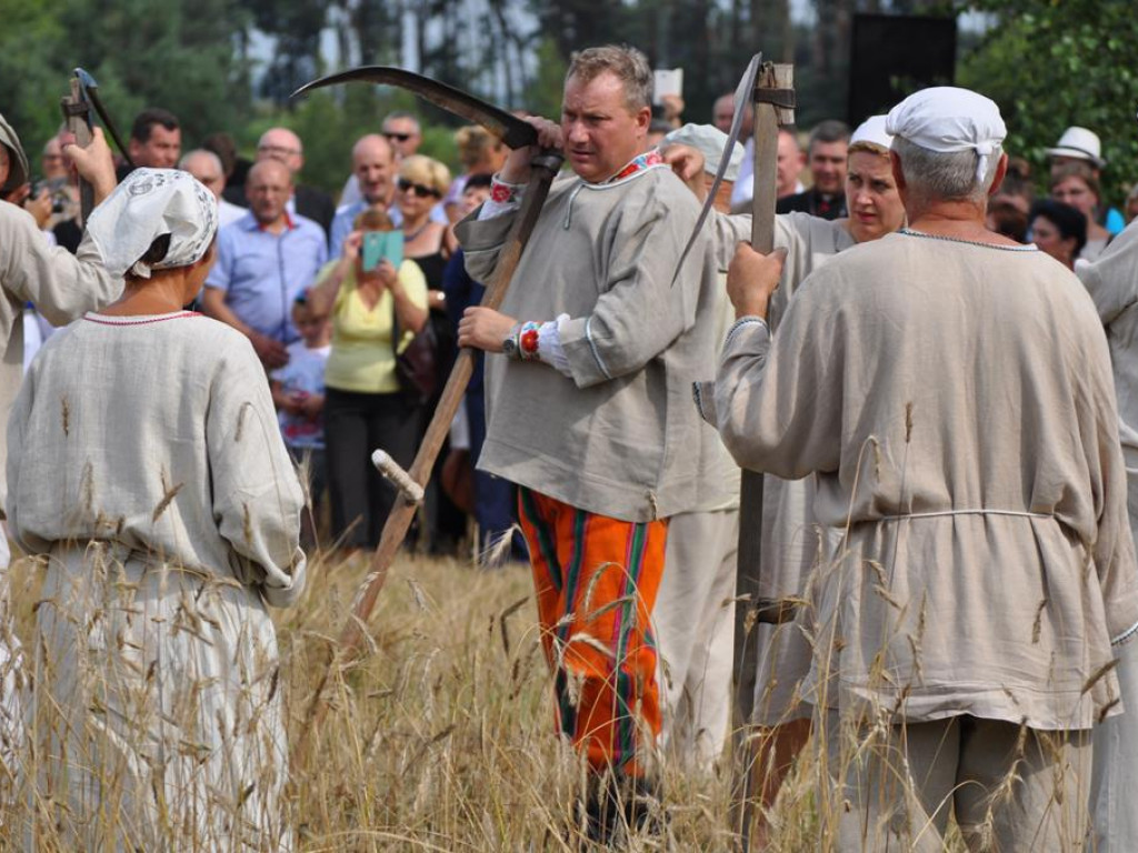 Łowickie Żniwa 2017 w skansenie w Maurzycach - zdjęcia