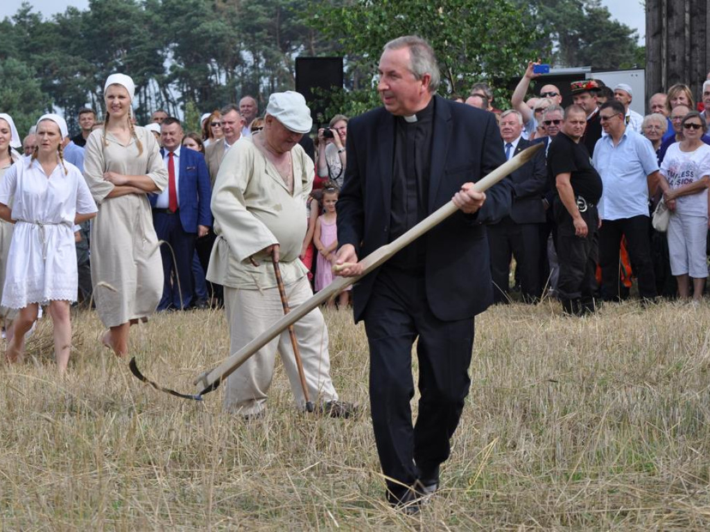 Łowickie Żniwa 2017 w skansenie w Maurzycach - zdjęcia