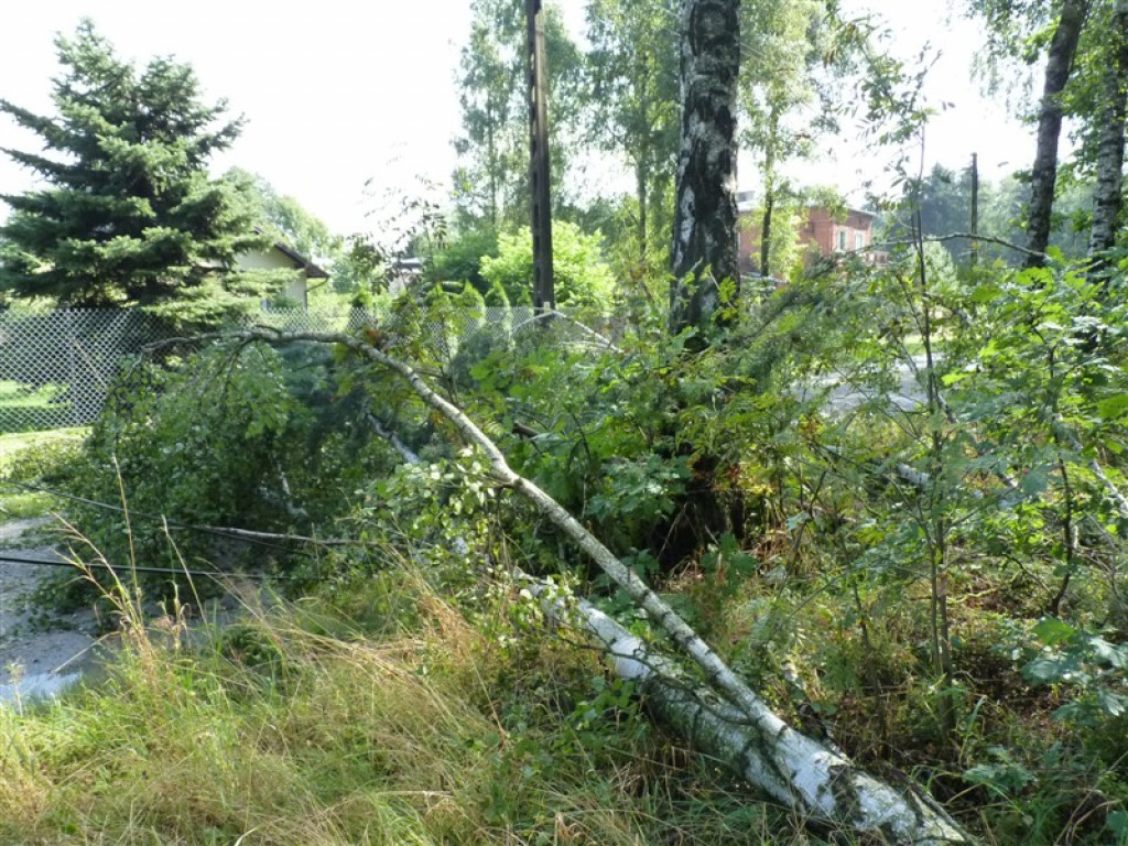 Usuwanie burzowych zniszczeń i liczenie strat