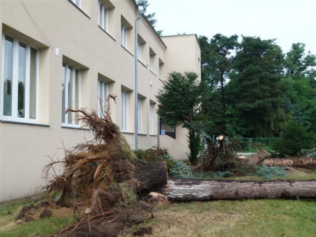 Usuwanie burzowych zniszczeń i liczenie strat