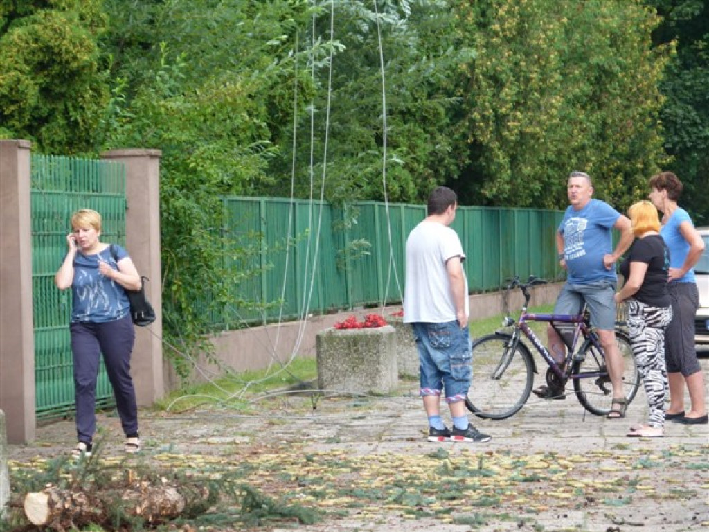 Usuwanie burzowych zniszczeń i liczenie strat