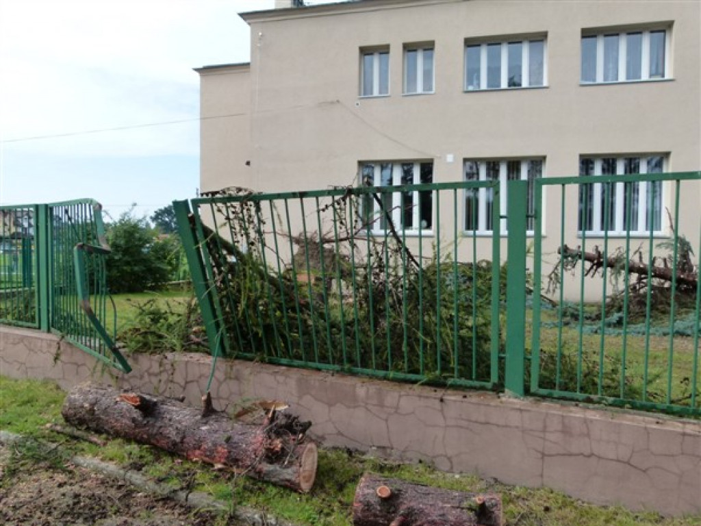 Usuwanie burzowych zniszczeń i liczenie strat