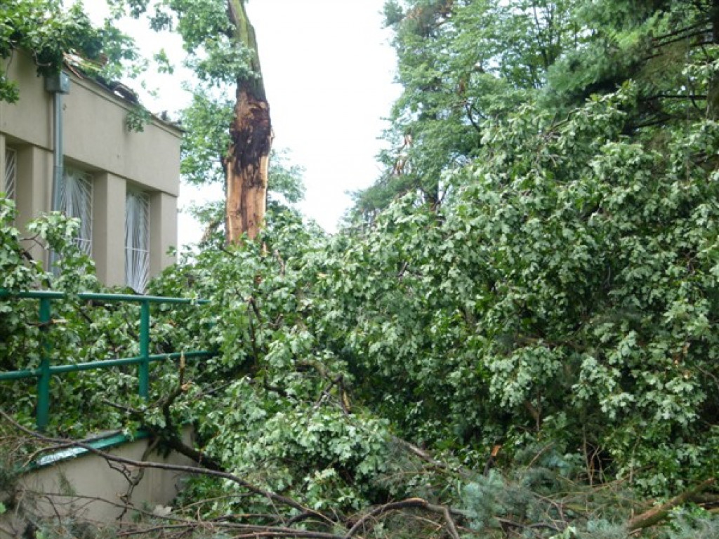 Usuwanie burzowych zniszczeń i liczenie strat
