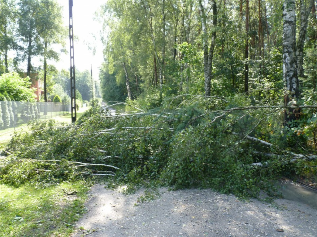 Usuwanie burzowych zniszczeń i liczenie strat