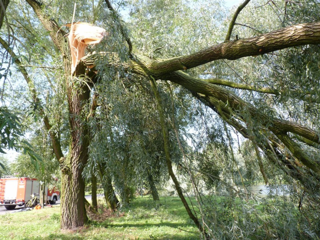 Usuwanie burzowych zniszczeń i liczenie strat