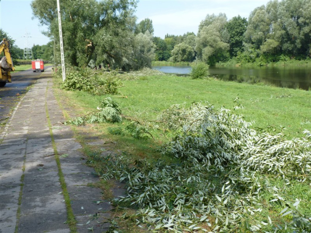 Usuwanie burzowych zniszczeń i liczenie strat
