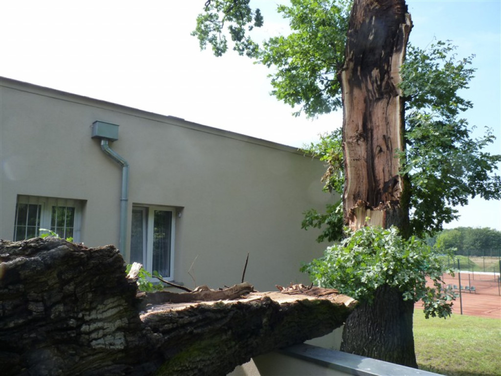 Usuwanie burzowych zniszczeń i liczenie strat
