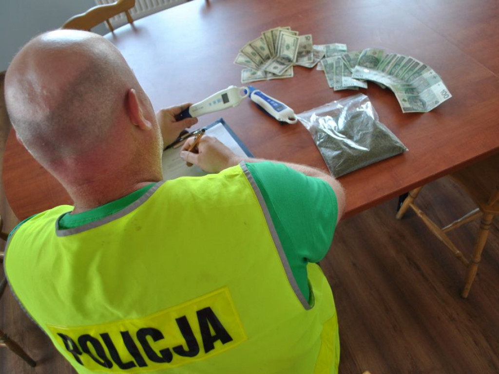 Policja zlikwidowała dwie hodowle marihuany