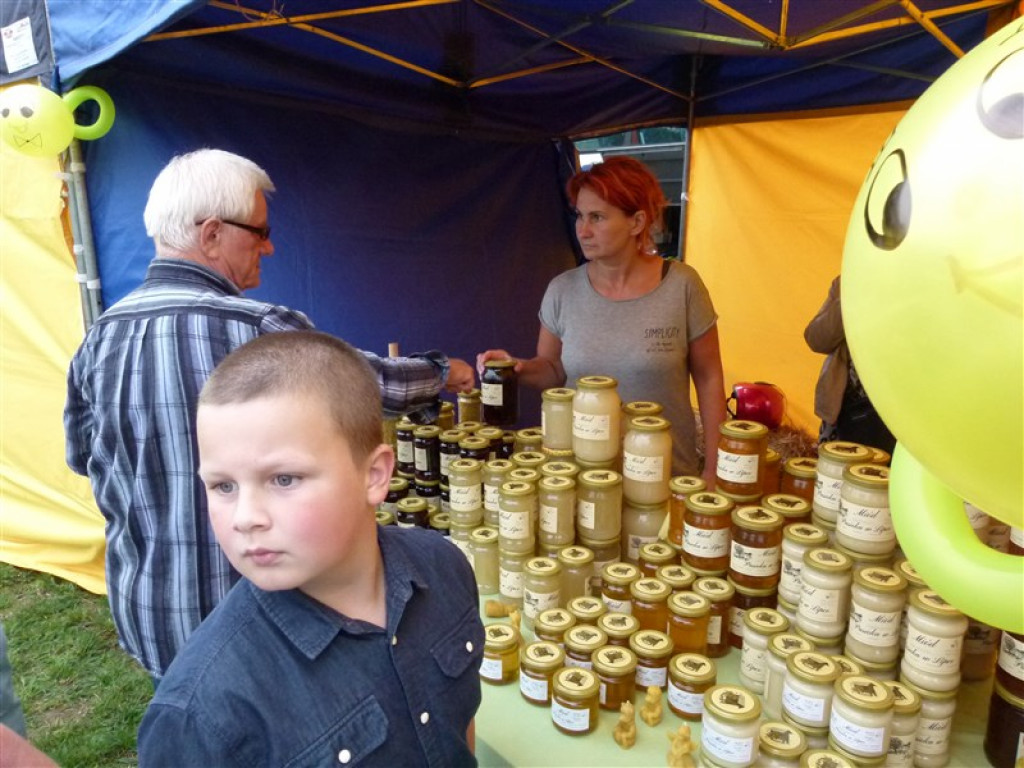 Udane miodobranie w Lipce