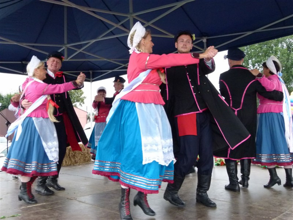 Udane miodobranie w Lipce