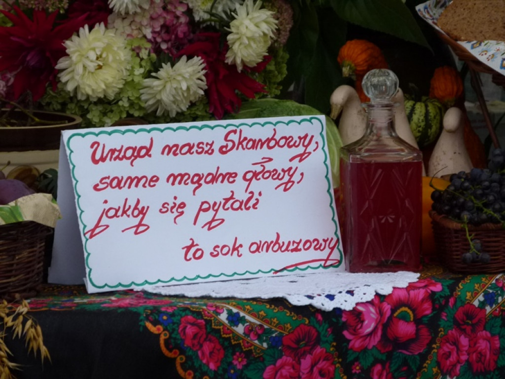 Gminne Dożynki w Dmosinie [ galeria zdjęć]