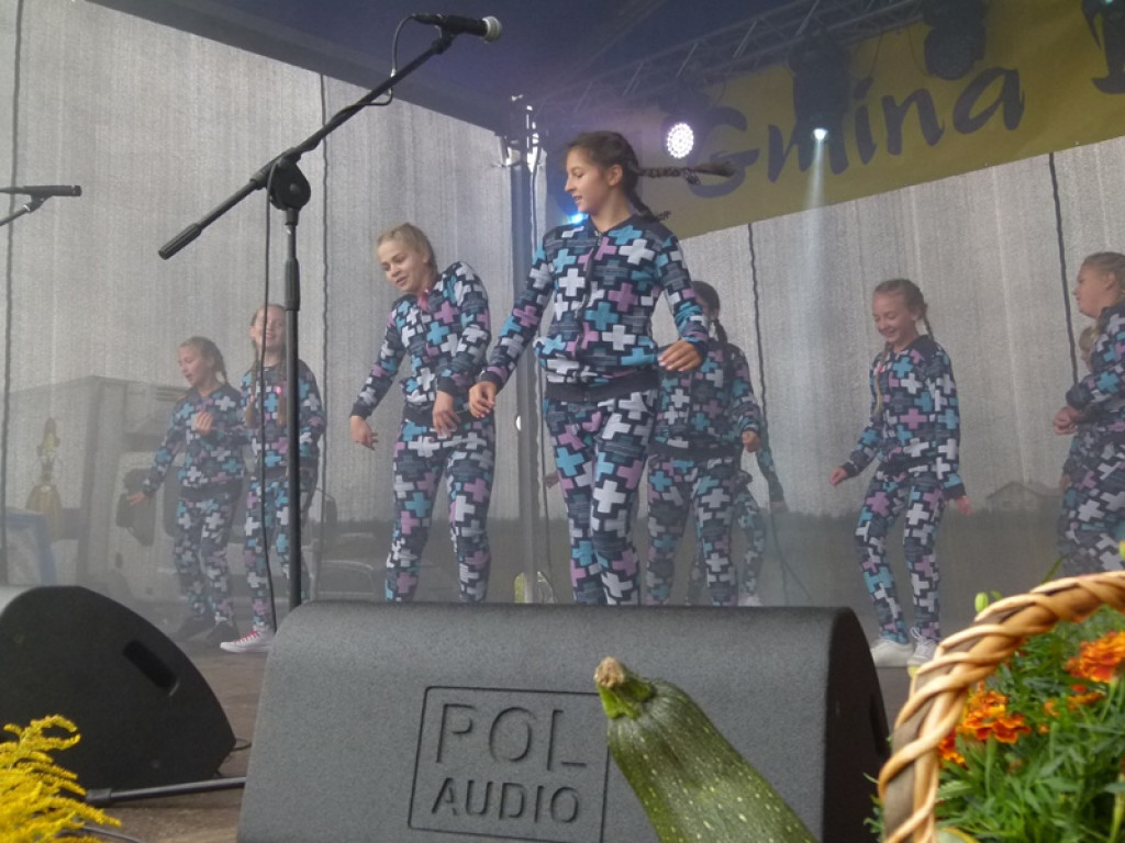 Gminne Dożynki w Dmosinie [ galeria zdjęć]