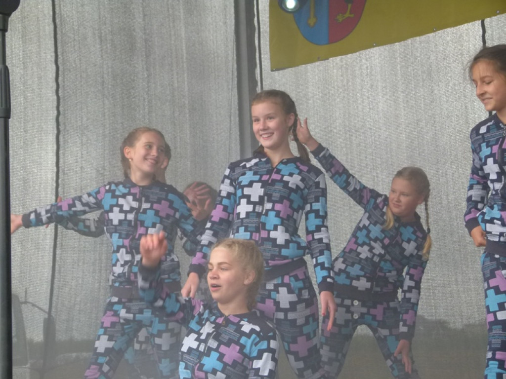 Gminne Dożynki w Dmosinie [ galeria zdjęć]