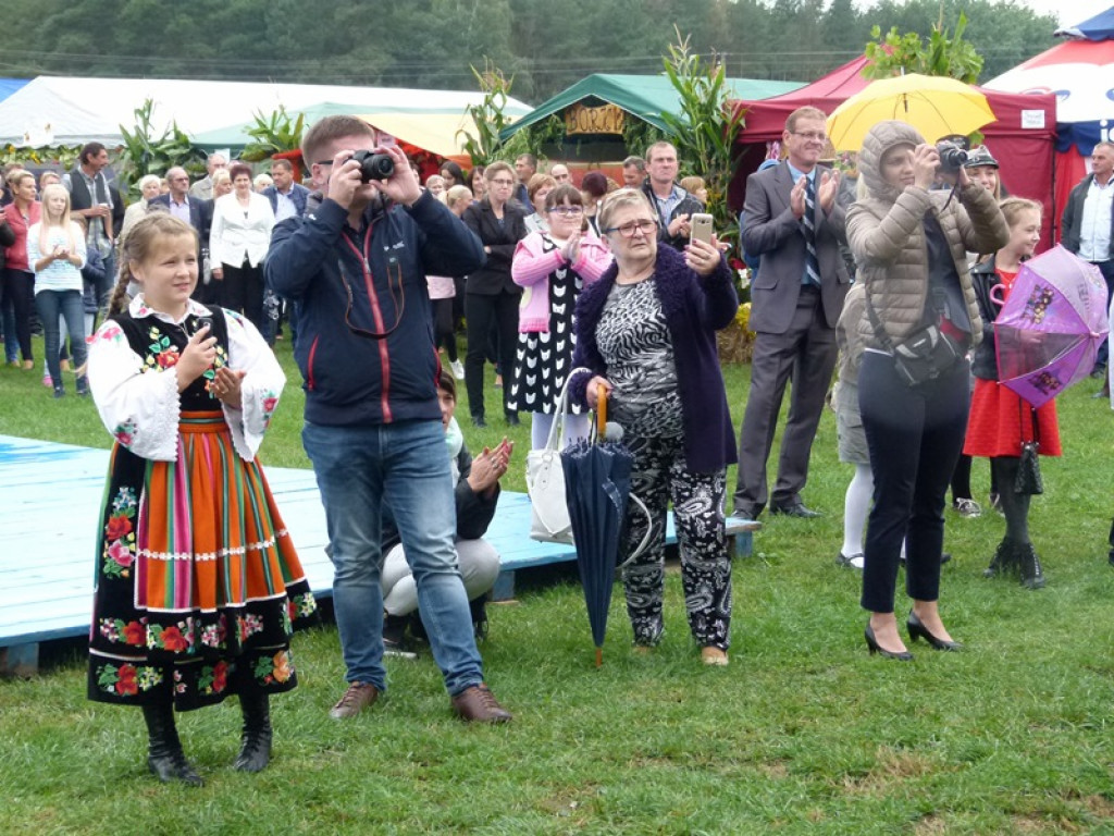 Gminne Dożynki w Dmosinie [ galeria zdjęć]