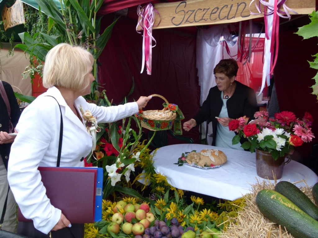 Gminne Dożynki w Dmosinie [ galeria zdjęć]