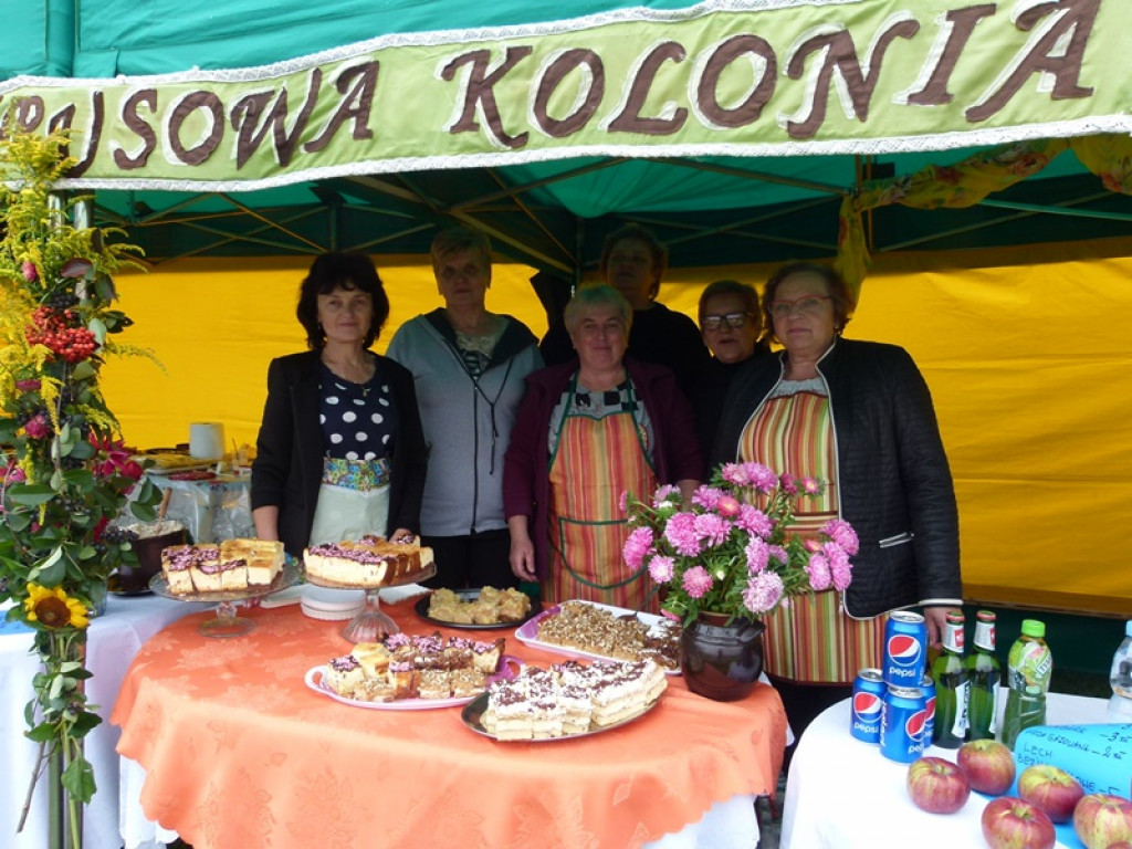 Gminne Dożynki w Dmosinie [ galeria zdjęć]