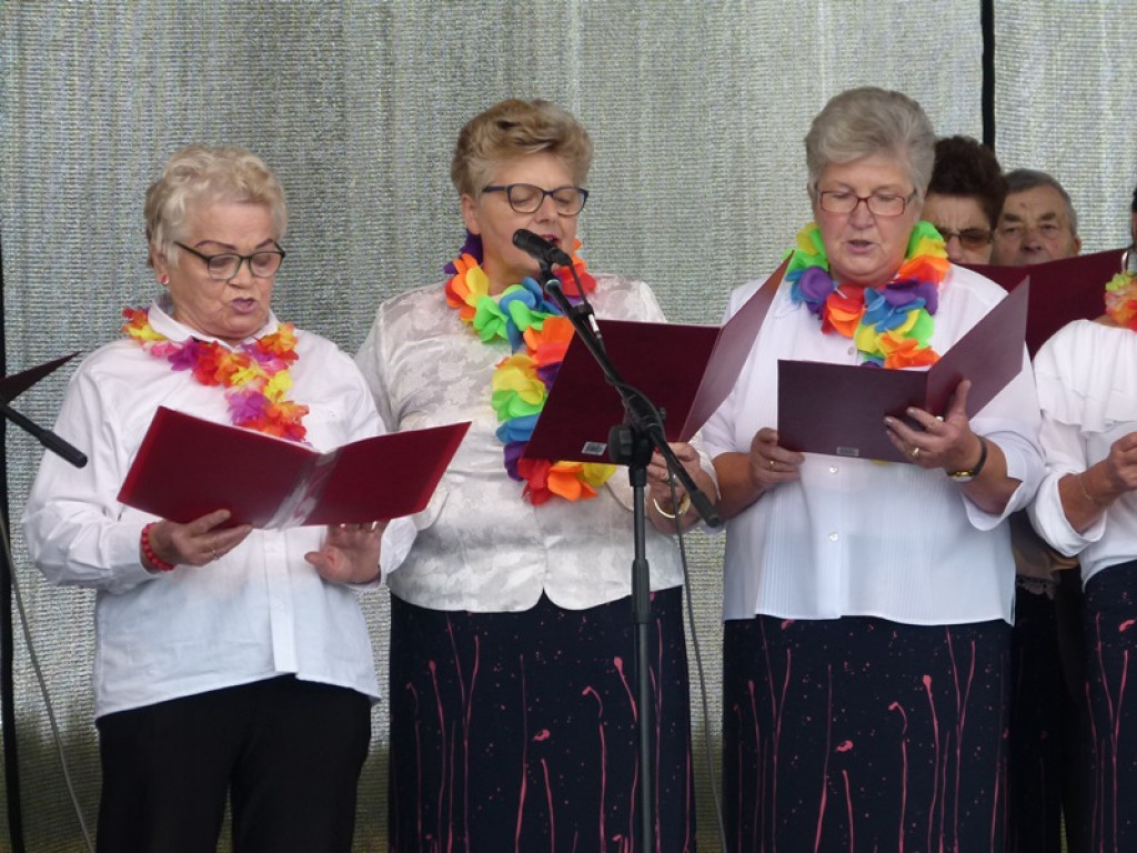 Gminne Dożynki w Dmosinie [ galeria zdjęć]