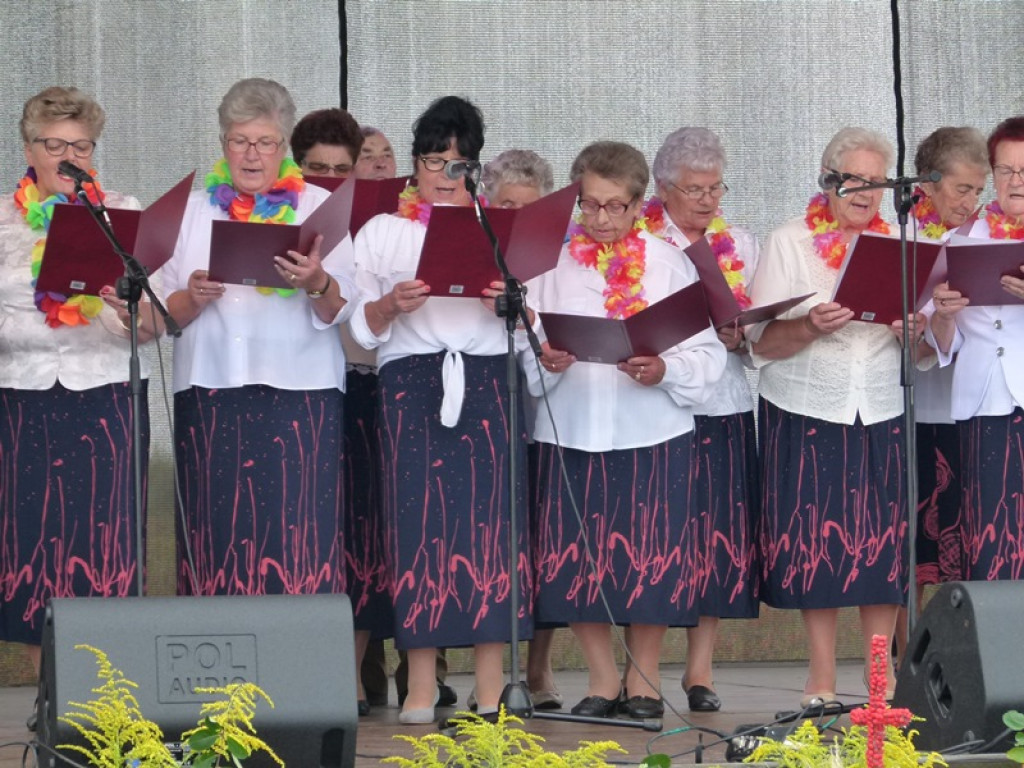 Gminne Dożynki w Dmosinie [ galeria zdjęć]