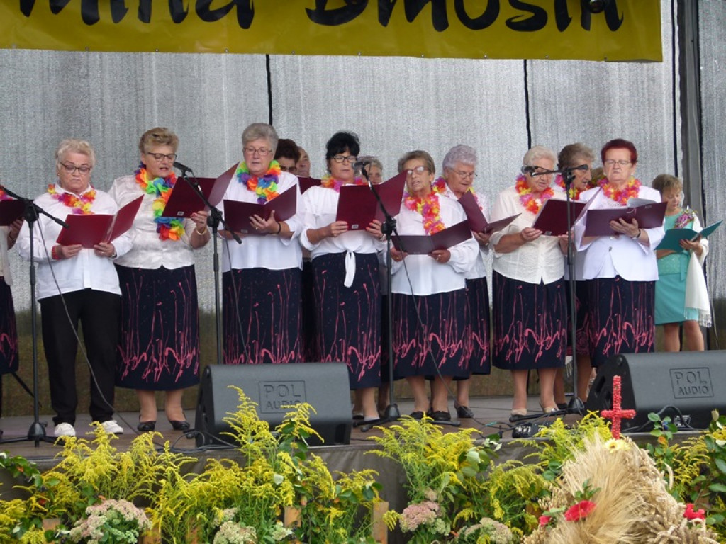 Gminne Dożynki w Dmosinie [ galeria zdjęć]